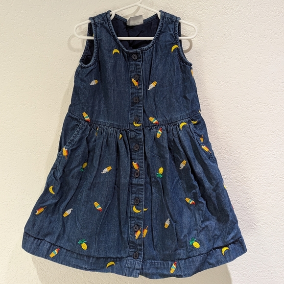 Hanna Andersson Other - Hanna Andersson Chasing Summer Button Up Chambray Denim Embroidered Dress 5T
